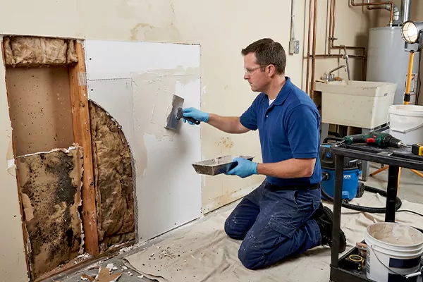 Mold and Drywall Repair Costa Mesa
