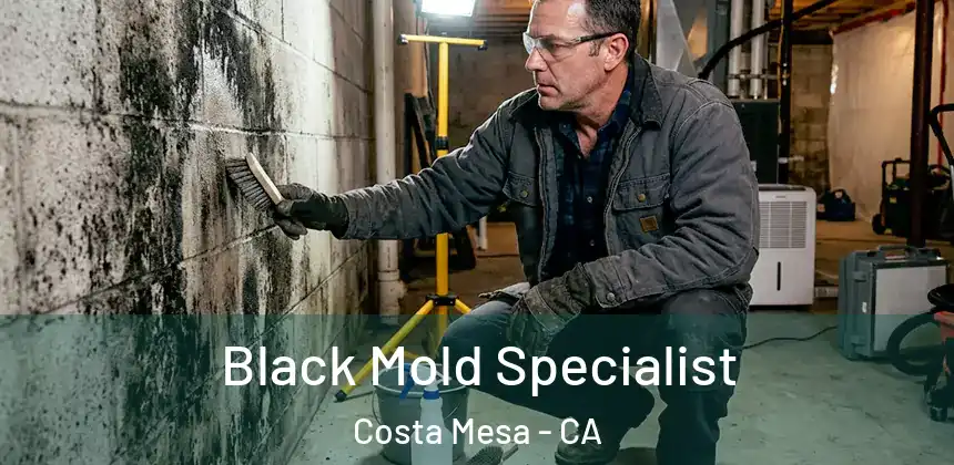  Black Mold Specialist Costa Mesa - CA