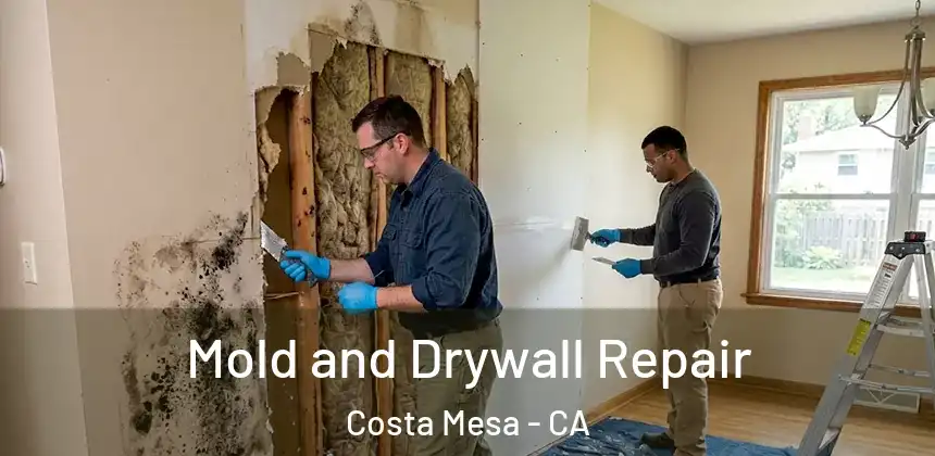  Mold and Drywall Repair Costa Mesa - CA