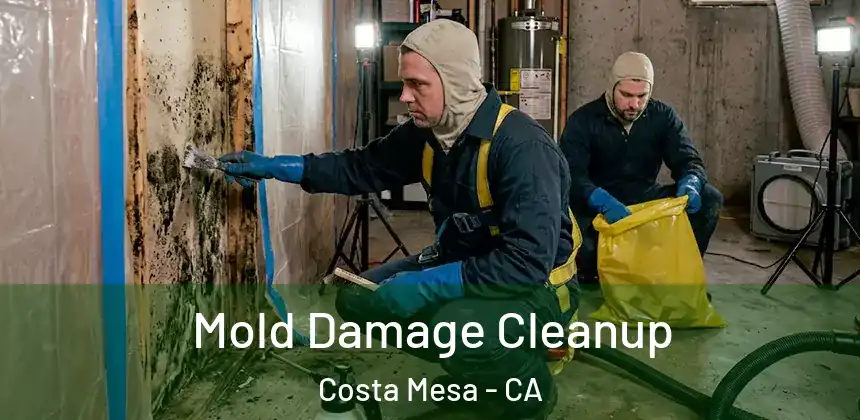  Mold Damage Cleanup Costa Mesa - CA