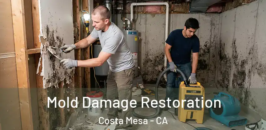  Mold Damage Restoration Costa Mesa - CA