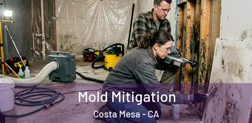 Mold Mitigation Costa Mesa - CA