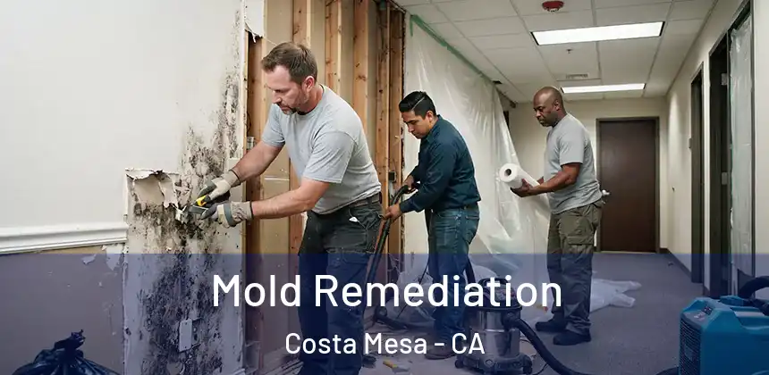  Mold Remediation Costa Mesa - CA