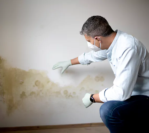 Mold Removal Service in Costa Mesa, CA