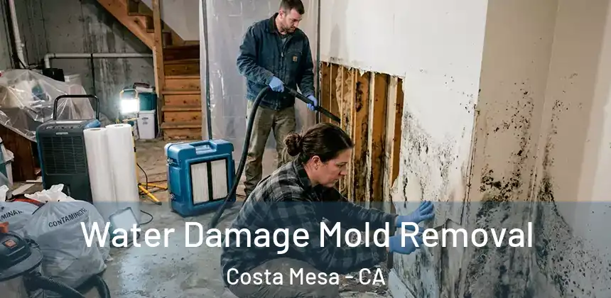 Water Damage Mold Removal Costa Mesa - CA